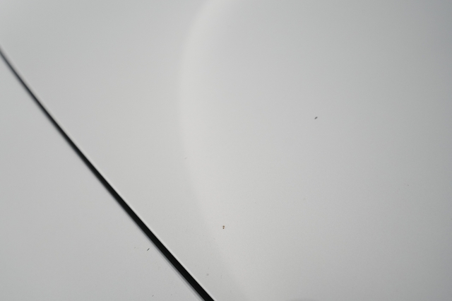 2022 Polestar 2