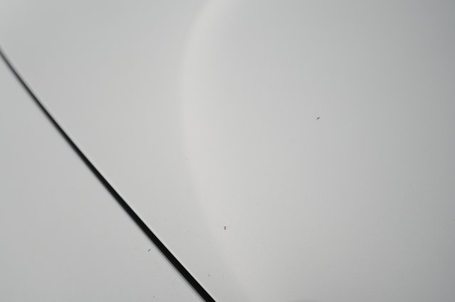 2022 Polestar 2 — photo 51 of 75