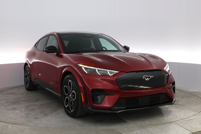 2022 Ford Mustang Mach-E — photo 12 of 23