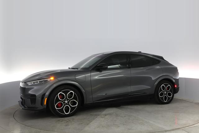 2023 Ford Mustang Mach-E — photo 10 of 23