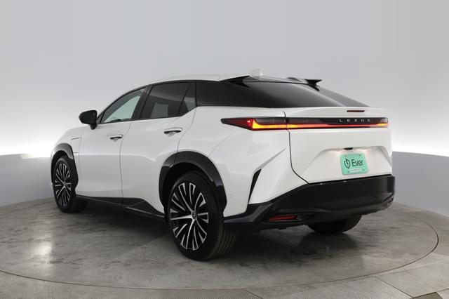 2023 Lexus RZ — photo 9 of 20