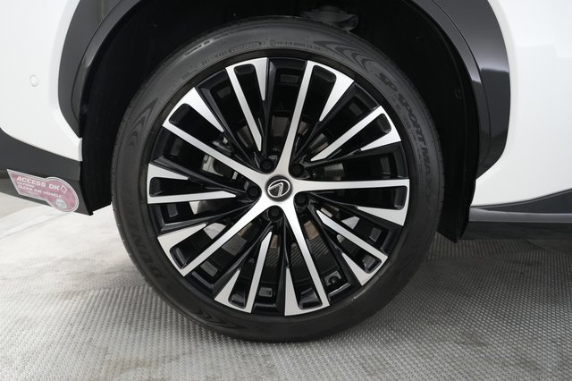 2023 Lexus RZ — photo 17 of 20