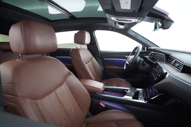 2019 Audi e-tron — photo 17 of 25