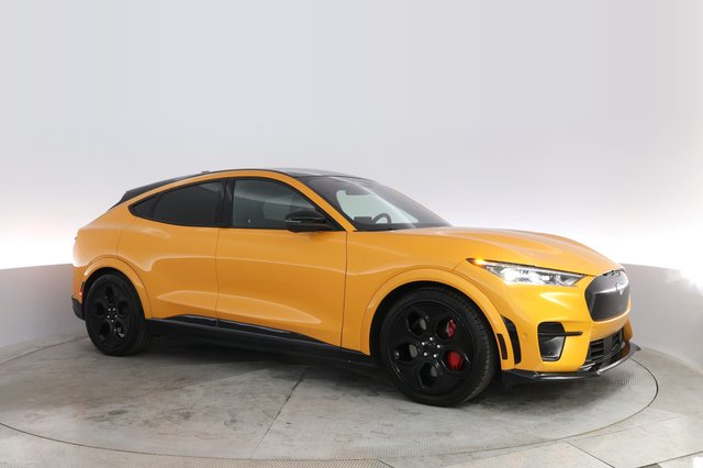 2021 Ford Mustang Mach-E — photo 11 of 29