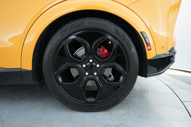 2021 Ford Mustang Mach-E — photo 15 of 29