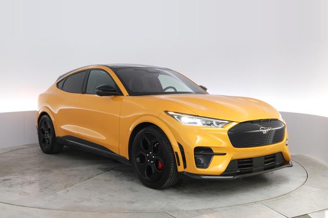2021 Ford Mustang Mach-E — photo 10 of 29