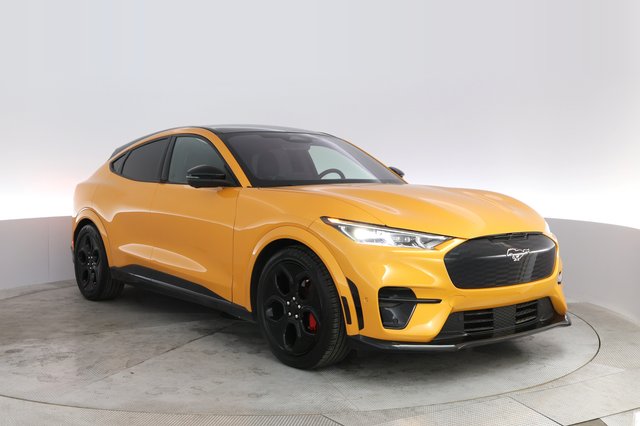 2021 Ford Mustang Mach-E — photo 10 of 29