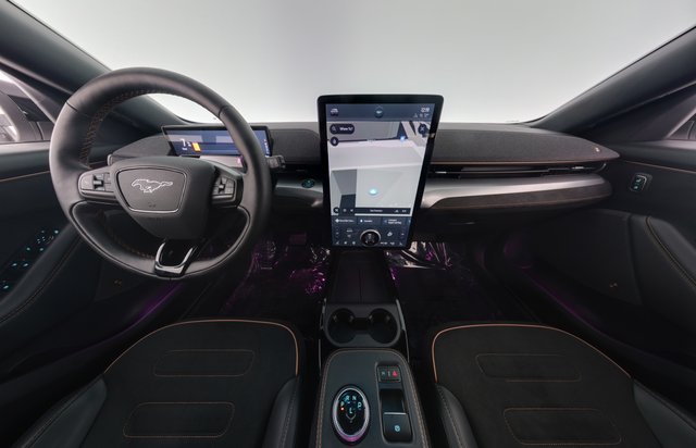 2021 Ford Mustang Mach-E — photo 21 of 29