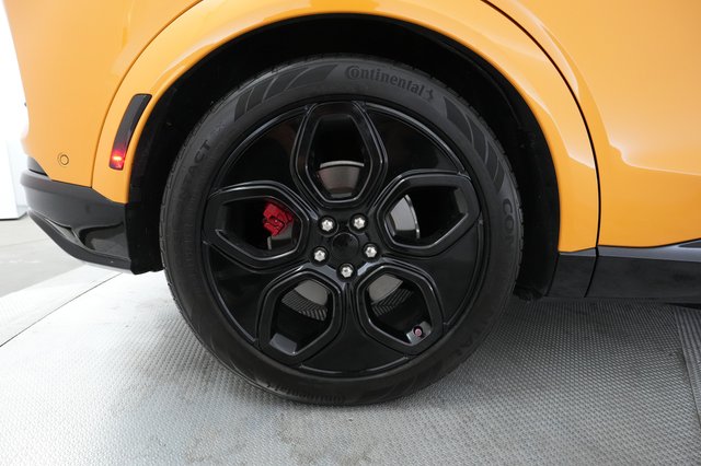 2021 Ford Mustang Mach-E — photo 16 of 29