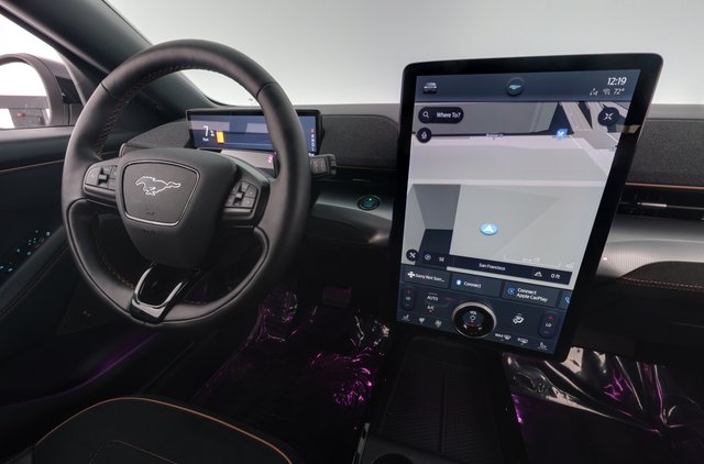 2021 Ford Mustang Mach-E — photo 20 of 29