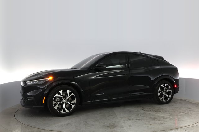 2021 Ford Mustang Mach-E — photo 10 of 23