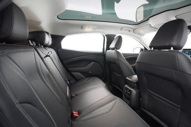 2021 Ford Mustang Mach-E — photo 3 of 23