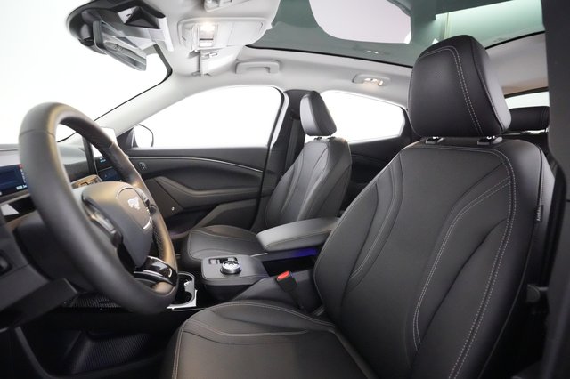 2021 Ford Mustang Mach-E — photo 15 of 23