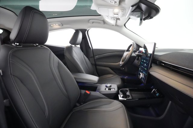 2021 Ford Mustang Mach-E — photo 17 of 23