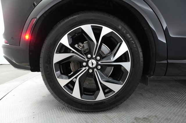 2021 Ford Mustang Mach-E — photo 14 of 23