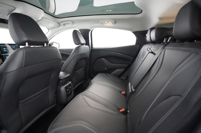 2021 Ford Mustang Mach-E — photo 16 of 23