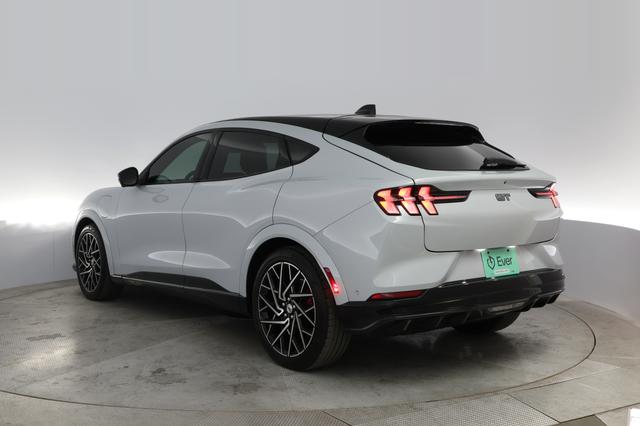 2022 Ford Mustang Mach-E — photo 9 of 24