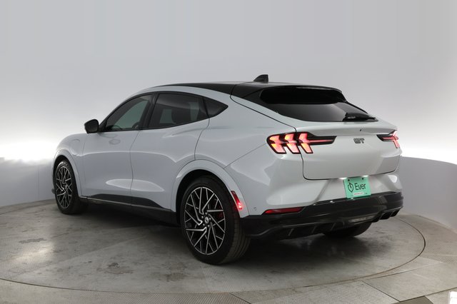 2022 Ford Mustang Mach-E — photo 9 of 24