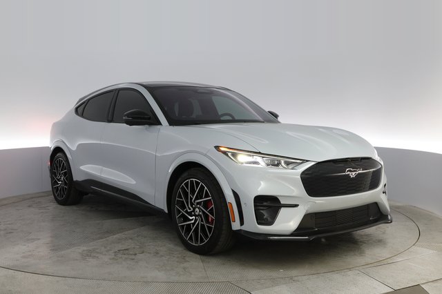 2022 Ford Mustang Mach-E — photo 12 of 24