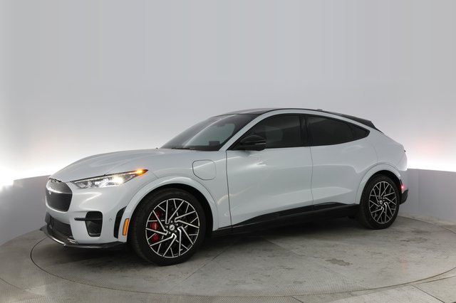 2022 Ford Mustang Mach-E — photo 10 of 24