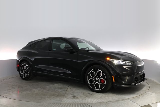 2023 Ford Mustang Mach-E — photo 11 of 22