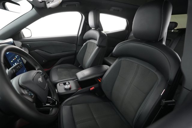 2023 Ford Mustang Mach-E — photo 15 of 21