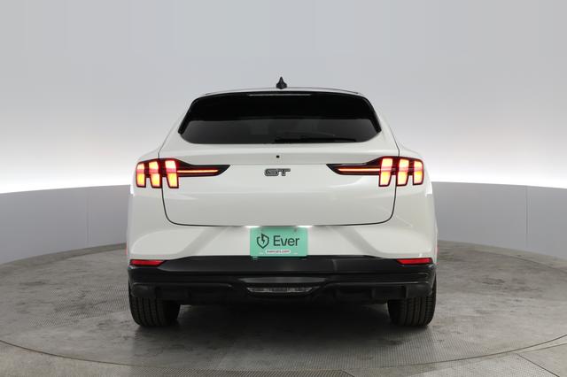 2023 Ford Mustang Mach-E — photo 8 of 21