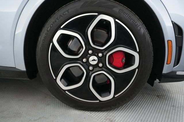 2022 Ford Mustang Mach-E — photo 16 of 21