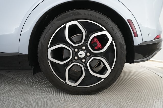 2022 Ford Mustang Mach-E — photo 17 of 21