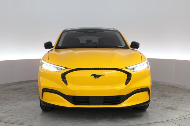 2022 Ford Mustang Mach-E — photo 13 of 25