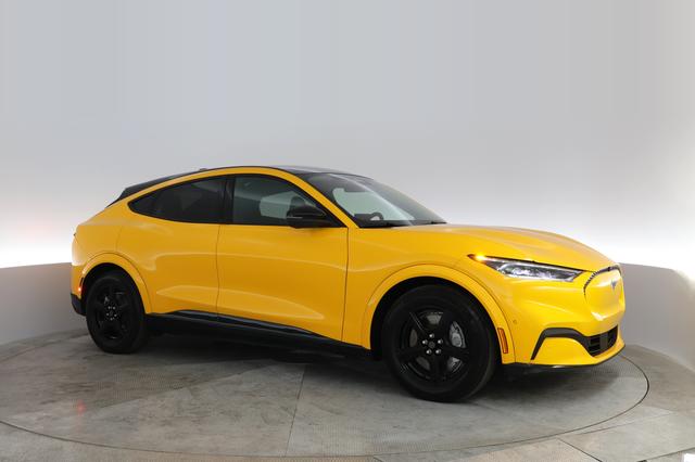 2022 Ford Mustang Mach-E — photo 10 of 25