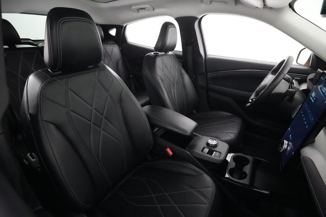 2022 Ford Mustang Mach-E — photo 18 of 25