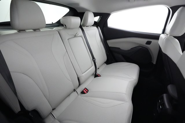 2023 Ford Mustang Mach-E — photo 4 of 22