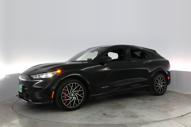 2023 Ford Mustang Mach-E — photo 14 of 22