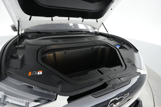 2023 Ford Mustang Mach-E — photo 22 of 24