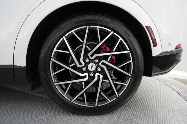 2023 Ford Mustang Mach-E — photo 15 of 24