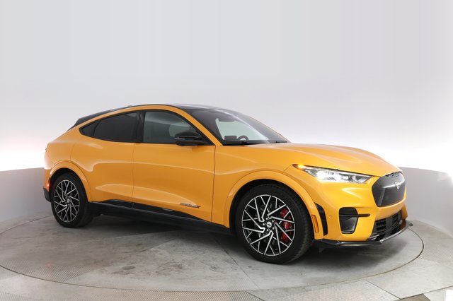 2021 Ford Mustang Mach-E — photo 11 of 22