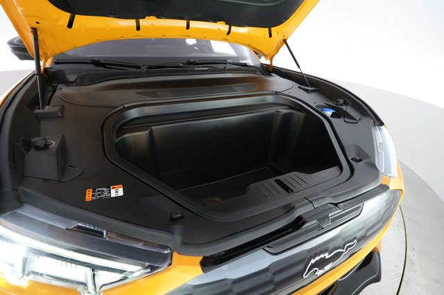 2021 Ford Mustang Mach-E — photo 21 of 22