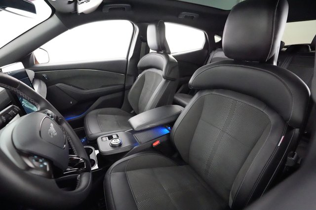 2021 Ford Mustang Mach-E — photo 3 of 22