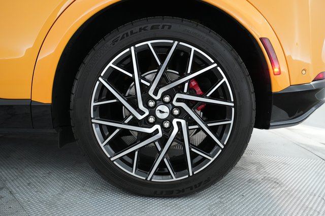 2021 Ford Mustang Mach-E — photo 15 of 22