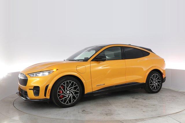 2021 Ford Mustang Mach-E — photo 14 of 22