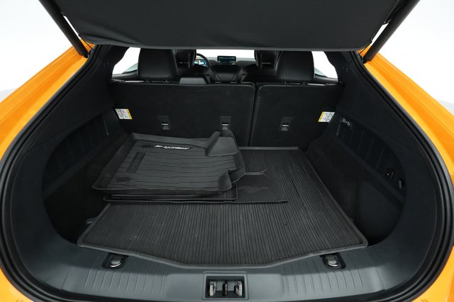 2021 Ford Mustang Mach-E — photo 6 of 22