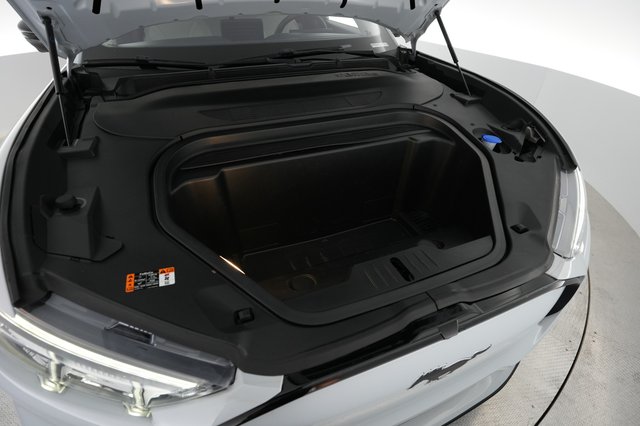 2021 Ford Mustang Mach-E — photo 21 of 23
