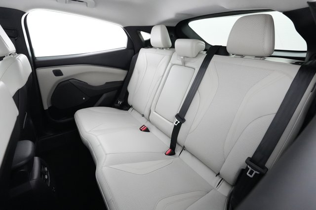 2021 Ford Mustang Mach-E — photo 19 of 23