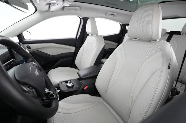 2021 Ford Mustang Mach-E — photo 3 of 23