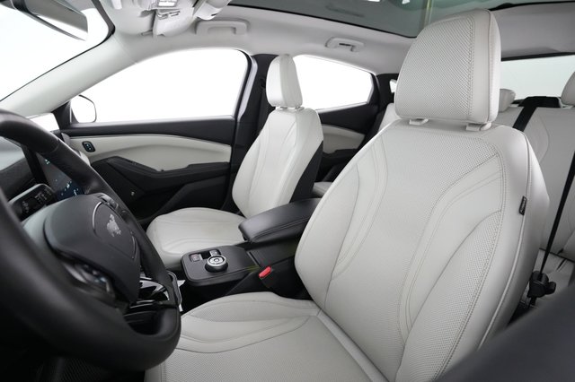 2021 Ford Mustang Mach-E — photo 3 of 23