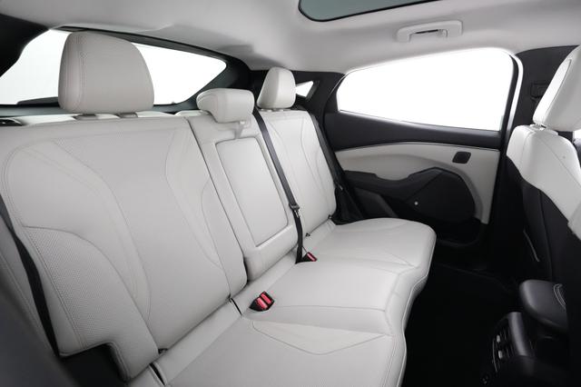 2021 Ford Mustang Mach-E — photo 4 of 23