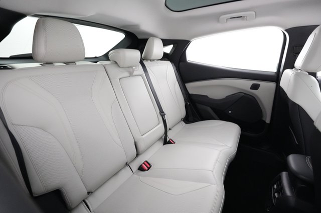 2021 Ford Mustang Mach-E — photo 4 of 23