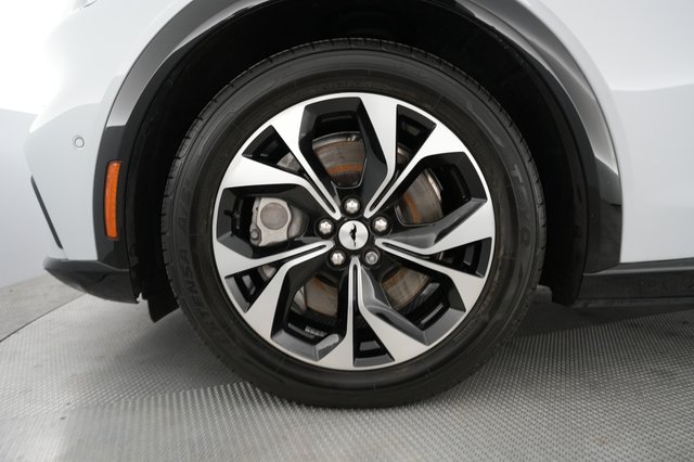 2021 Ford Mustang Mach-E — photo 15 of 23