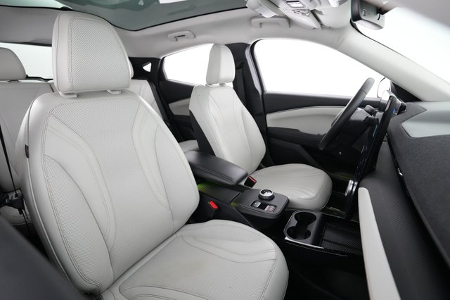 2021 Ford Mustang Mach-E — photo 18 of 23